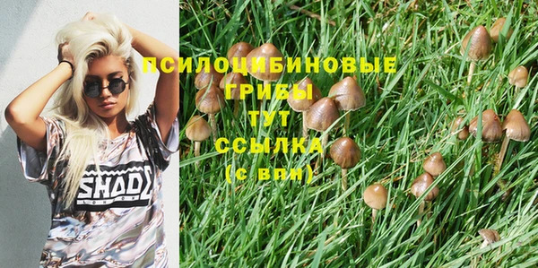 COCAINE Гусь-Хрустальный