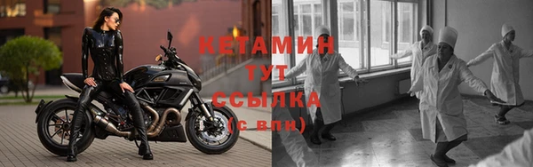 твердый Дмитровск
