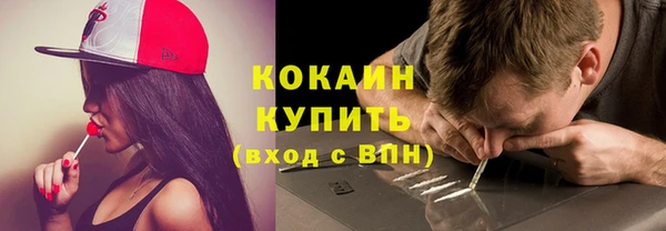 твердый Дмитровск