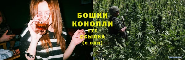 альфа пвп Гусев