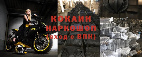 ПСИЛОЦИБИНОВЫЕ ГРИБЫ Дмитриев