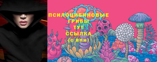 спиды Гусиноозёрск