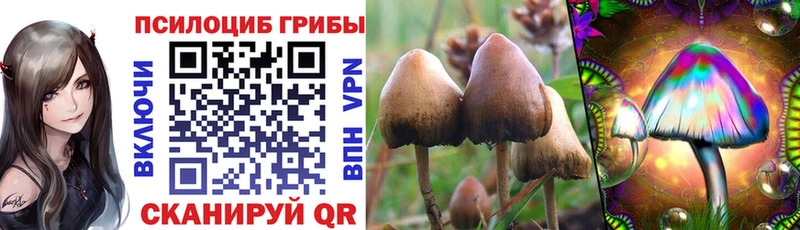 Купить где  Талица  Галлюциногенные грибы прущие грибы 